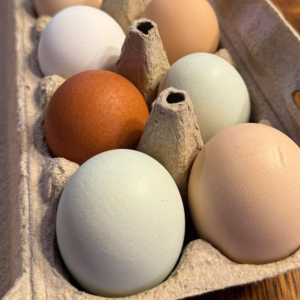 Eggs