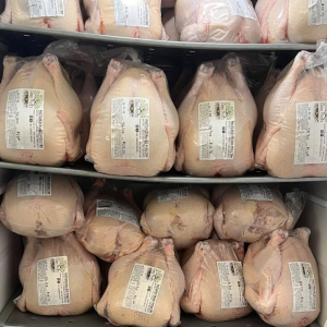 Pasture Raised Chickens