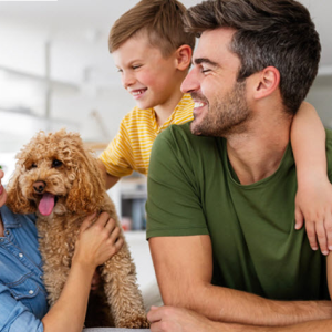 Pet Insurance