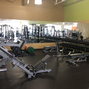 Strength Equipment