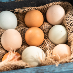 Eggs