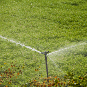 Irrigation System Installation