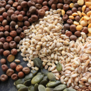 Crop Seed Supply