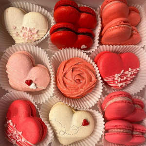 Premium Seasonal & Signature Flavors