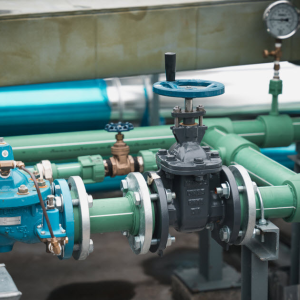 Commercial Backflow Preventer Test