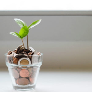 Financial Literacy