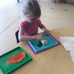 Molding
