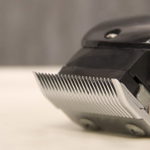 Clipper Blade Oiling