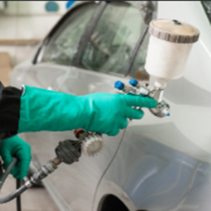 Vehicle Painting
