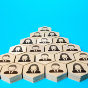 Fractional HR Leadership