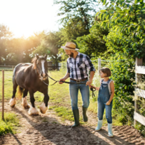 Farm & Ranch Insurance