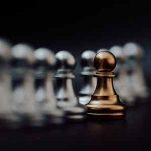 Customized Leadership Development