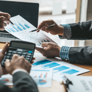 Interim Accounting & Finance Support