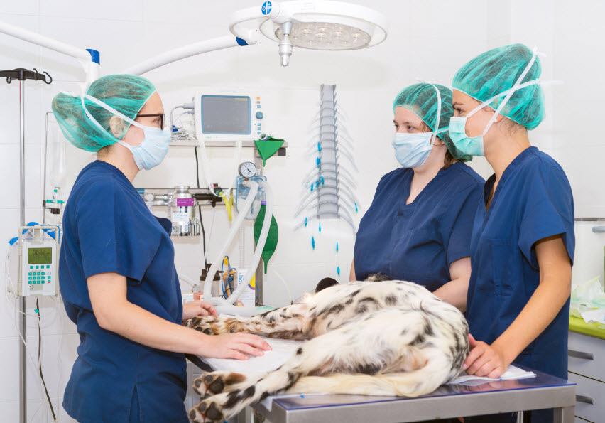 Surgical Care and Services