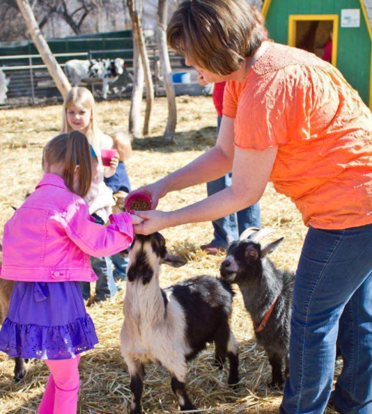 Petting Farm