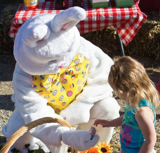 Easter Egg Hunt
