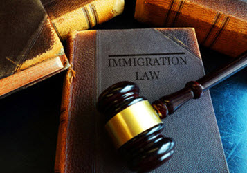  Immigration law