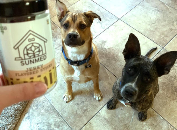 CBD pet care