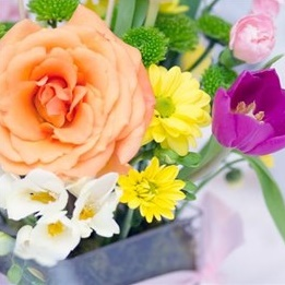  Floral 