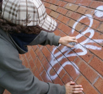 Vandalism