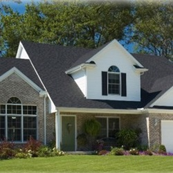 Residential Pest Control