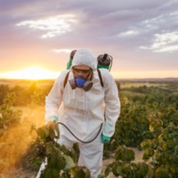Residential Weed Control