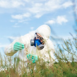 Commercial Weed Control