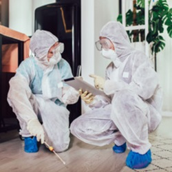 Commercial Termite Control