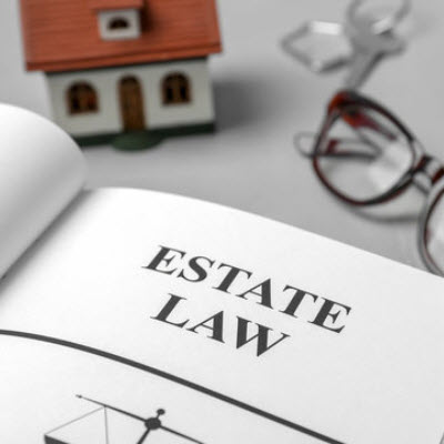 Real Estate Litigation