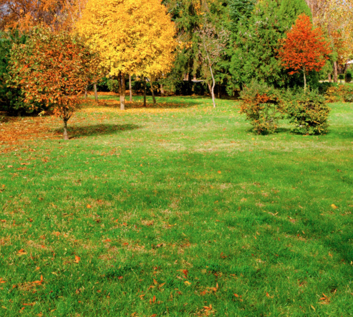Lawn & Garden