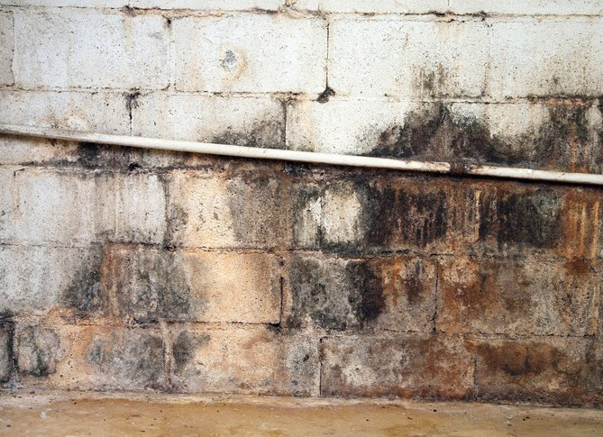 Mold Remediation