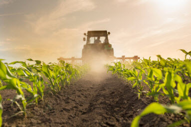 SOIL MANAGEMENT & FERTILIZATION