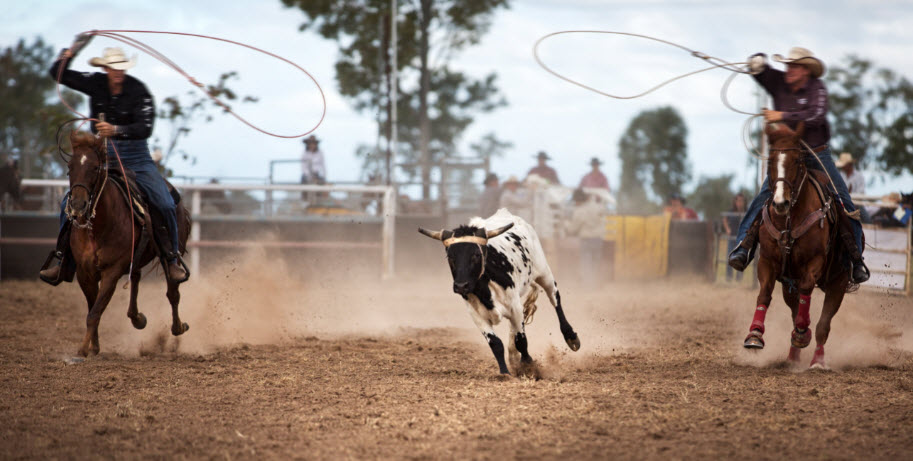 Team Roping & Equestrian 