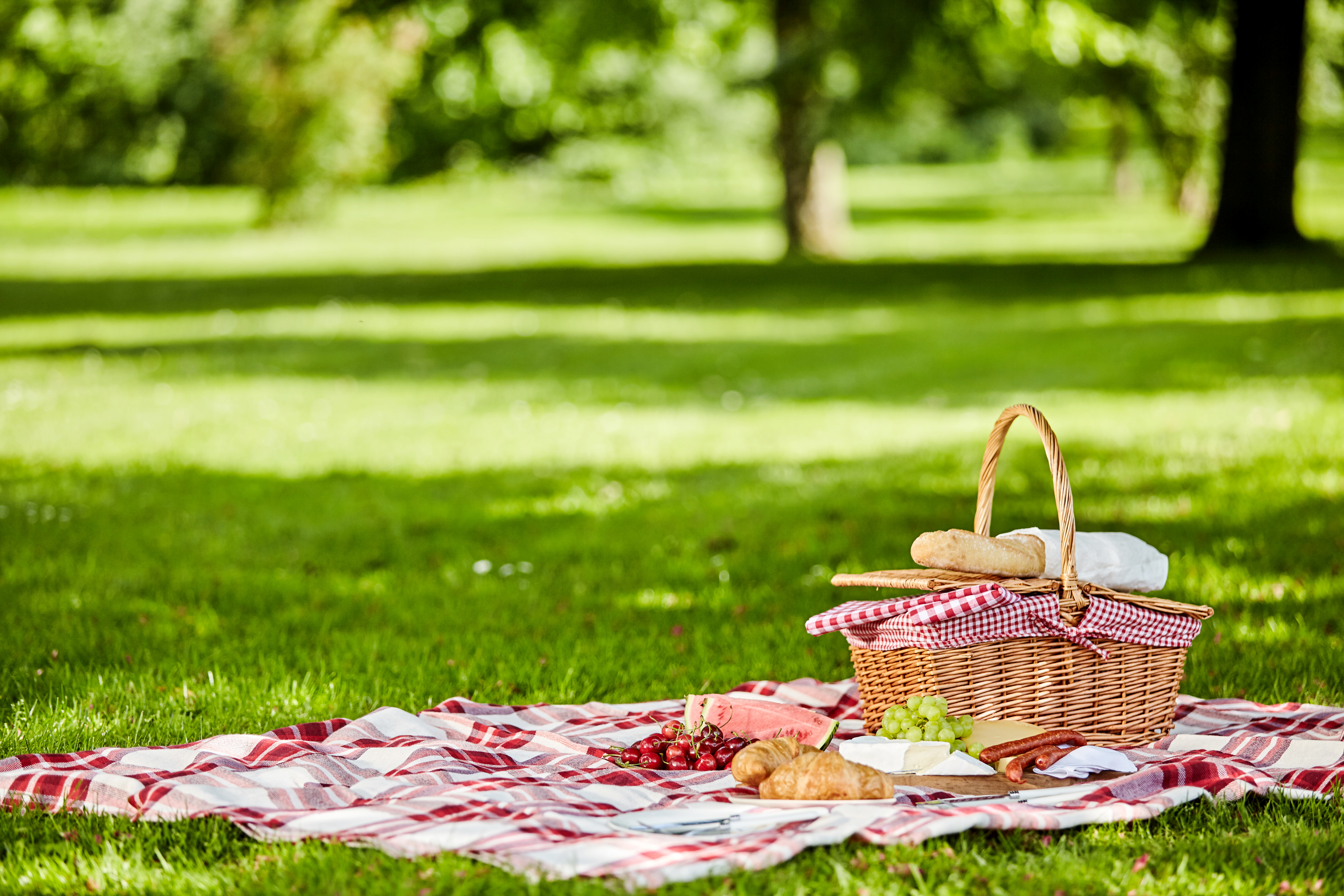 Cookouts or Picnics