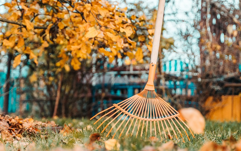 Spring and fall cleanups