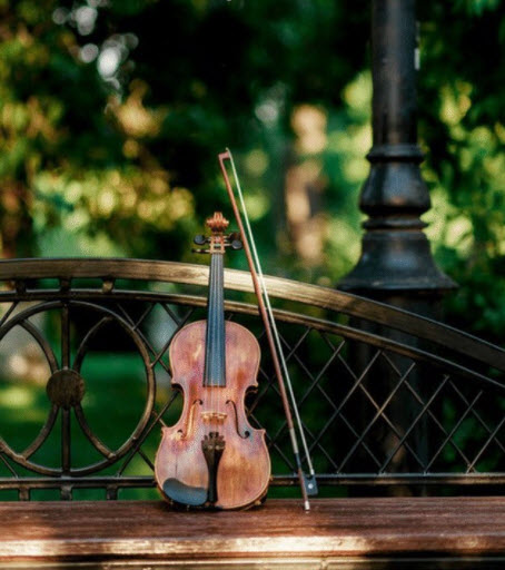 Musical Instrument