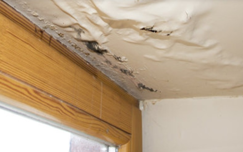 Popcorn Ceiling Removal