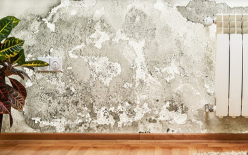 Water Damage
