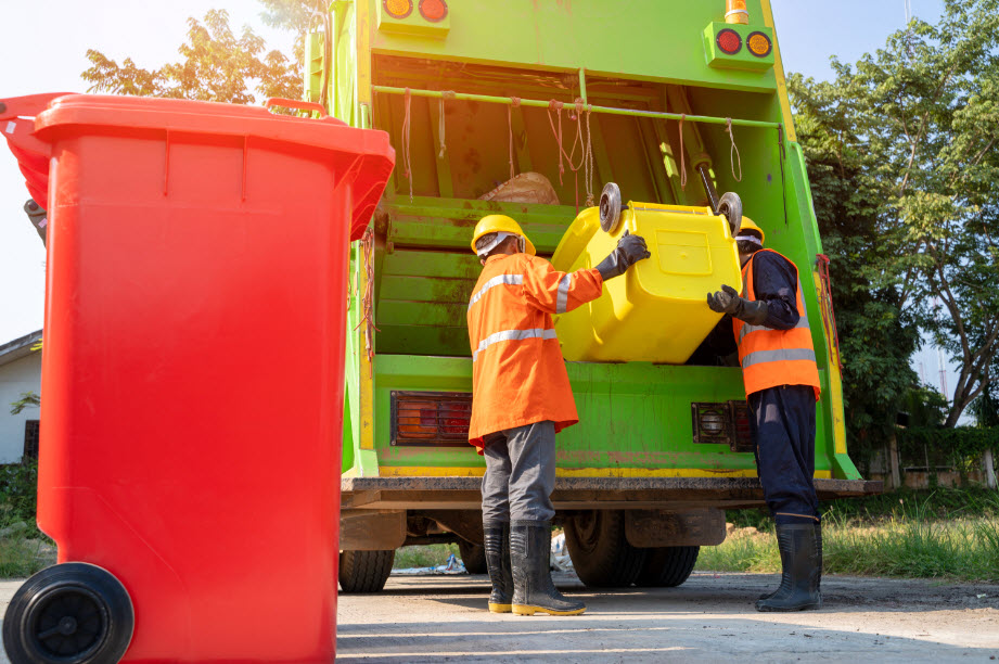 Trash Removal