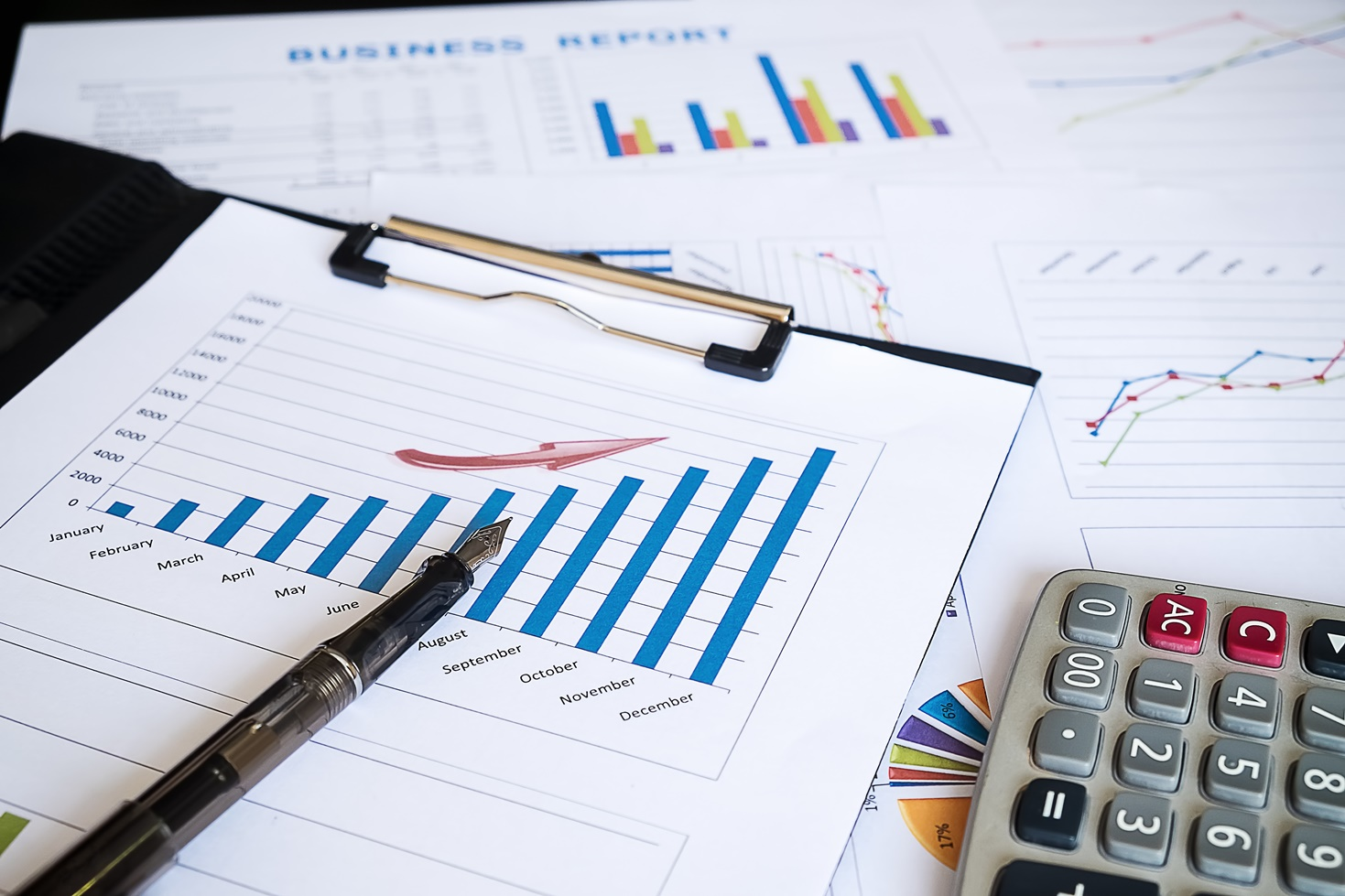  Audits & Litigation