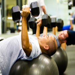 Strength/Free Weights