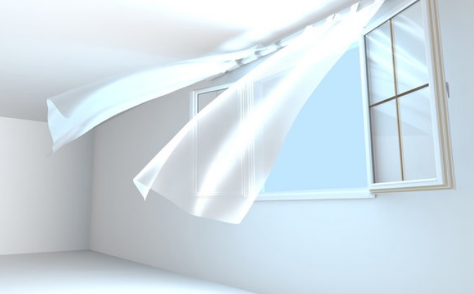 Mold & Indoor Air Quality  