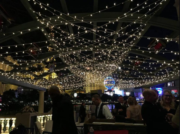 Twinkle Lights (non-twinkling)