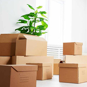 Packing