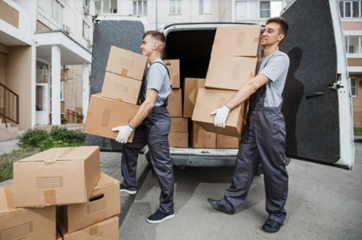 Shipping Services 