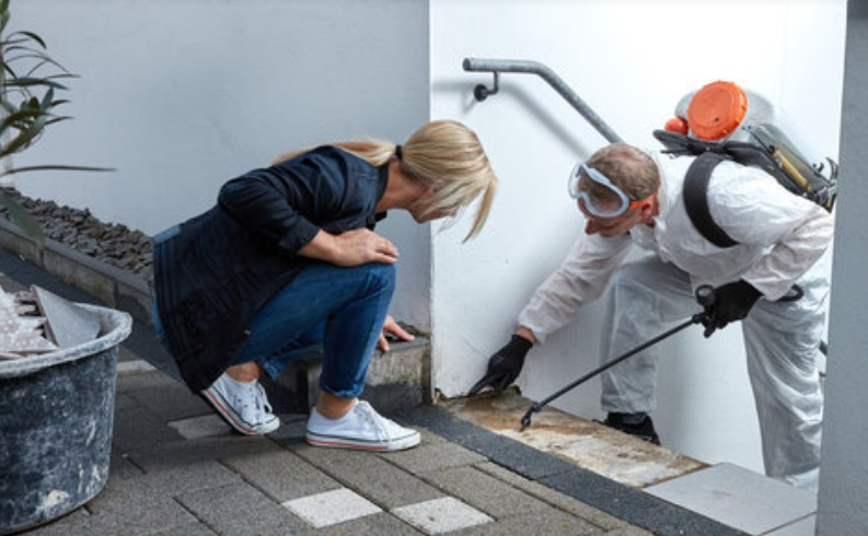 FREE HOME INSPECTION