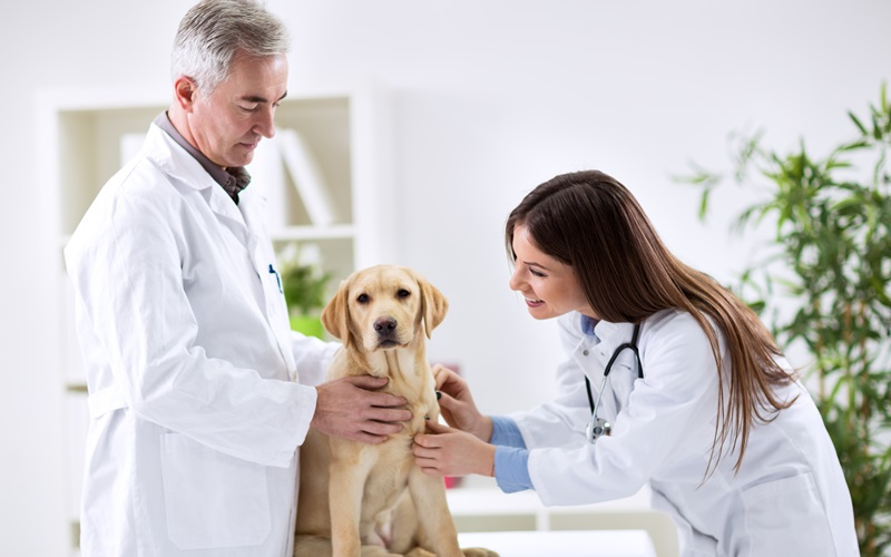 Preventative Care