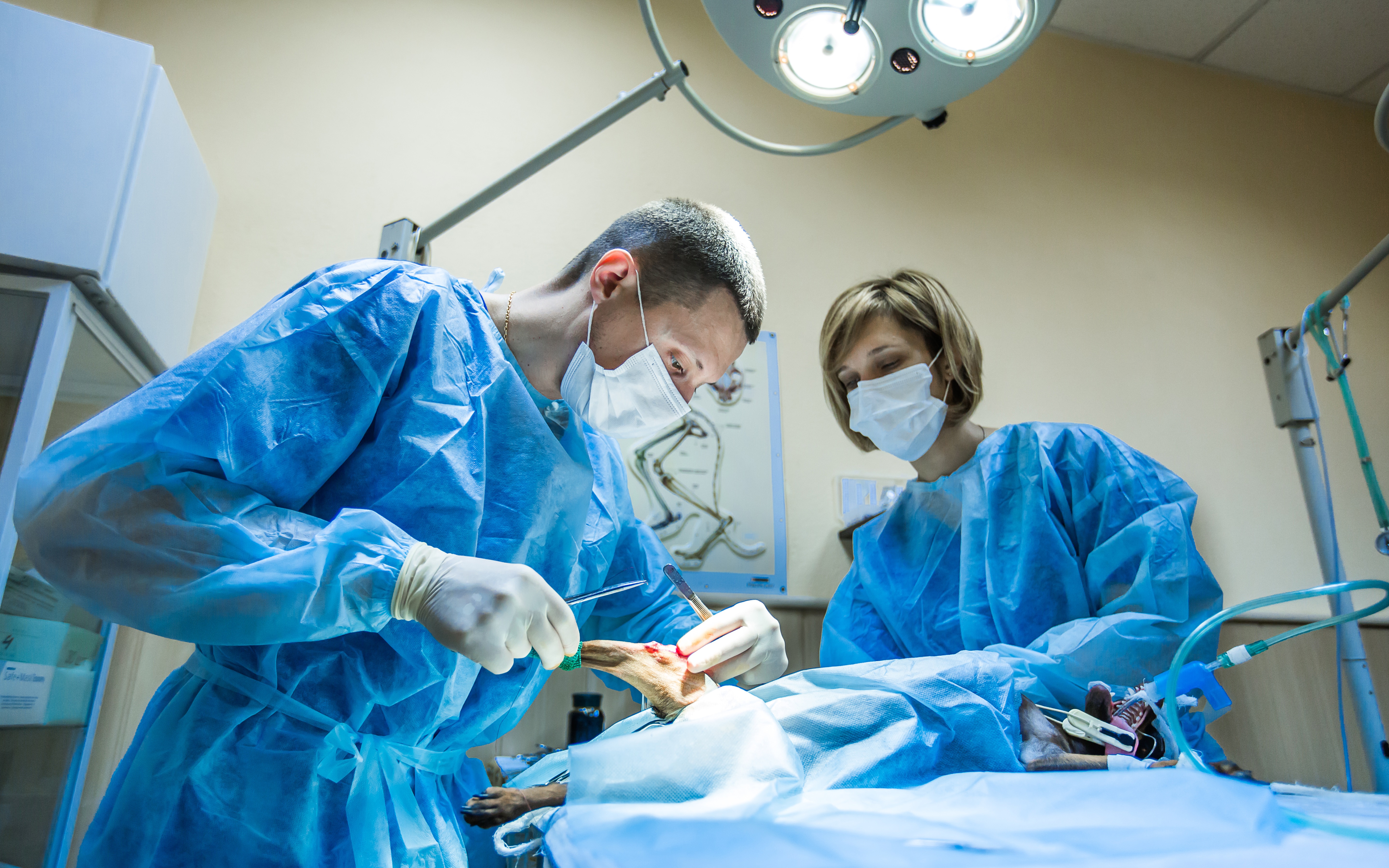 Surgery