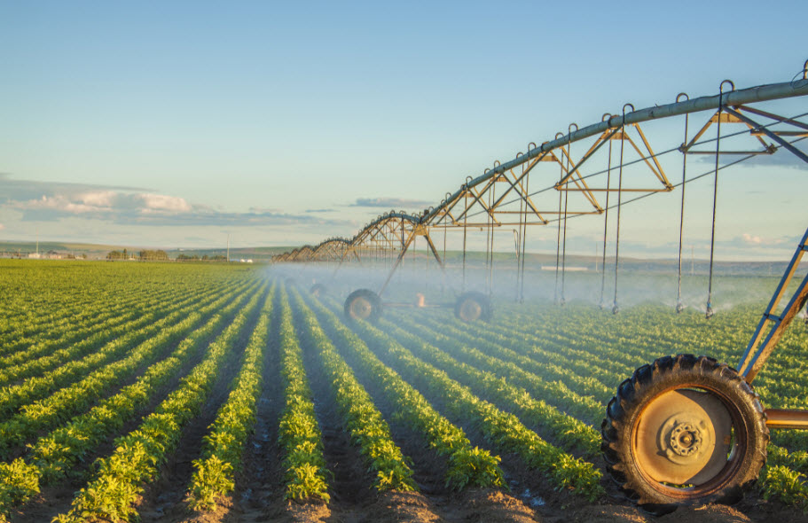 Irrigation
