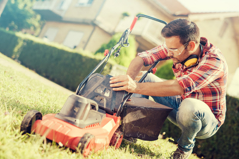 Yard Maintenance 